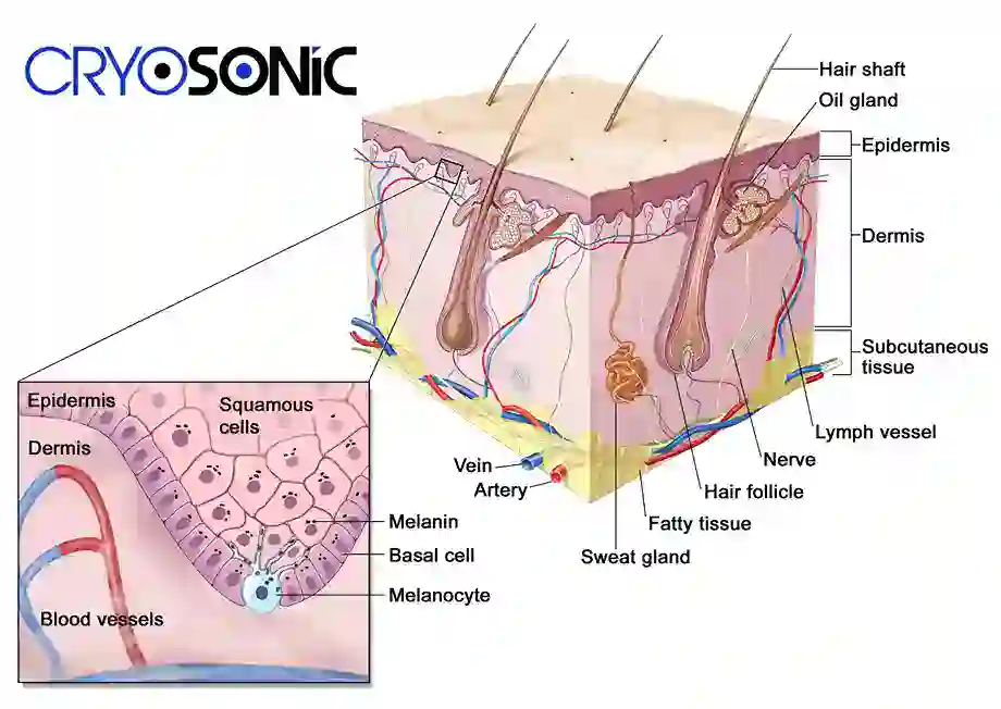 How Cryotherapy Stimulates Melanocyte Activity Telford